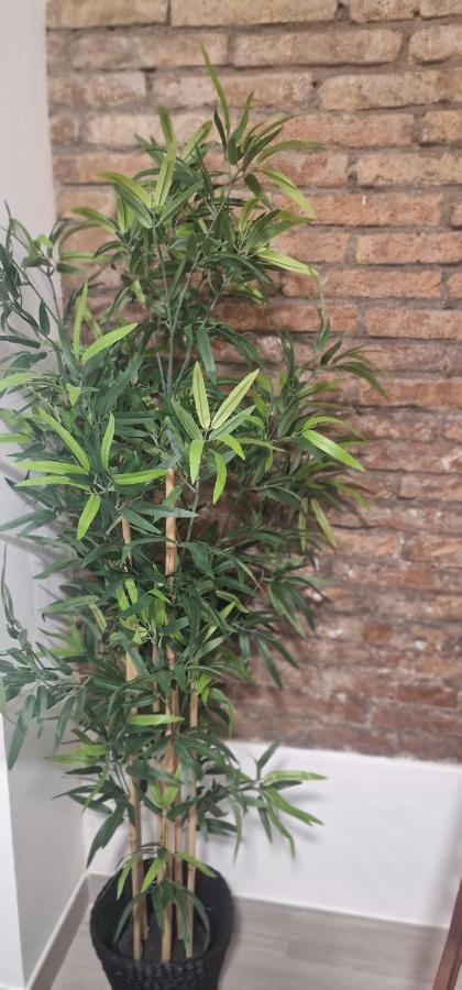 Barcelona,Apartamento Con Terraza Apartment L'Hospitalet de Llobregat Exterior foto